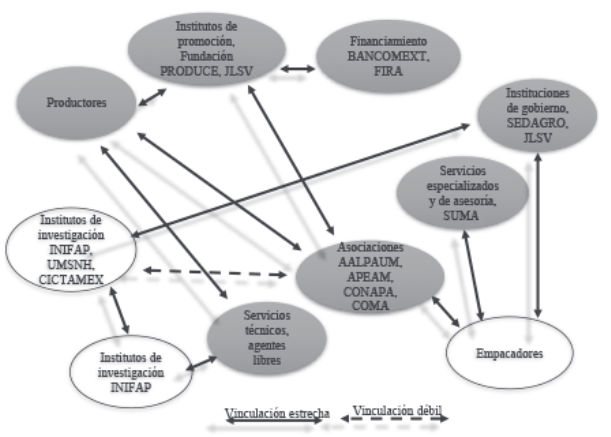 Segunda etapa: sistema sectorial del aguacate en Michoacán