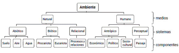Jerarqu&iacute;a del ambiente