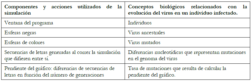 Correlación entre
  los componentes y acciones de la simulación y el proceso de evolución de la
  población viral en un individuo.