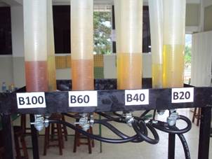 Graduated cylinder used in the research.