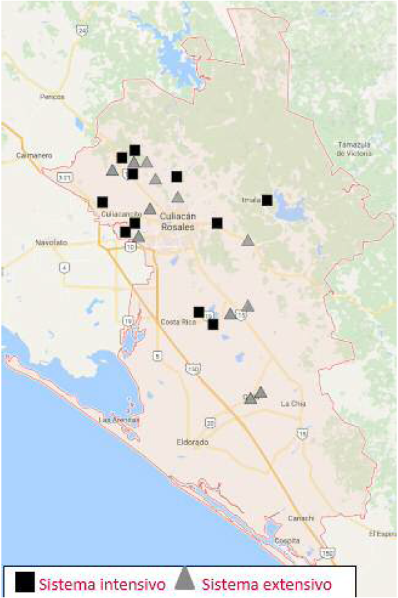LOCALIZACI&Oacute;N DE LAS UNDADES DE PRODUCCI&Oacute;N OVINA EN EL MUNICIPIO
DE CULIAC&Aacute;N, SINALOA.