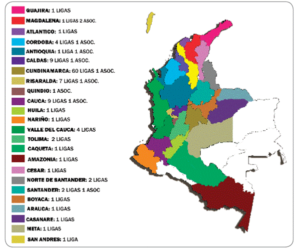 Ligasy asociaciones de consumidores en Colombia