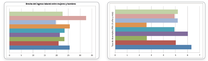 Indicadores de equidad, a&ntilde;o 2015