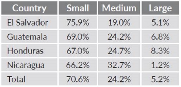 Share of studied companies by size