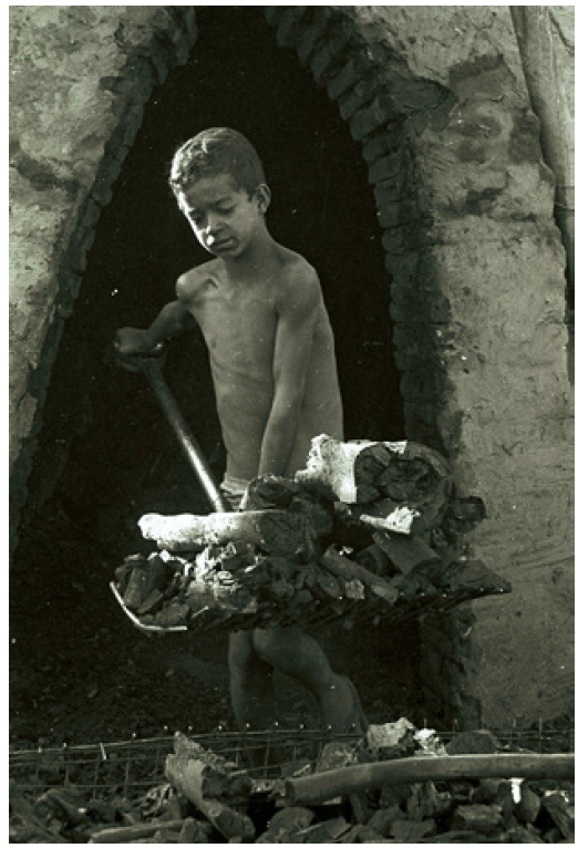 Menino trabalhando em carvoaria