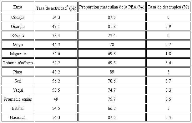PEA, tasa de actividad y desempleo en 2010