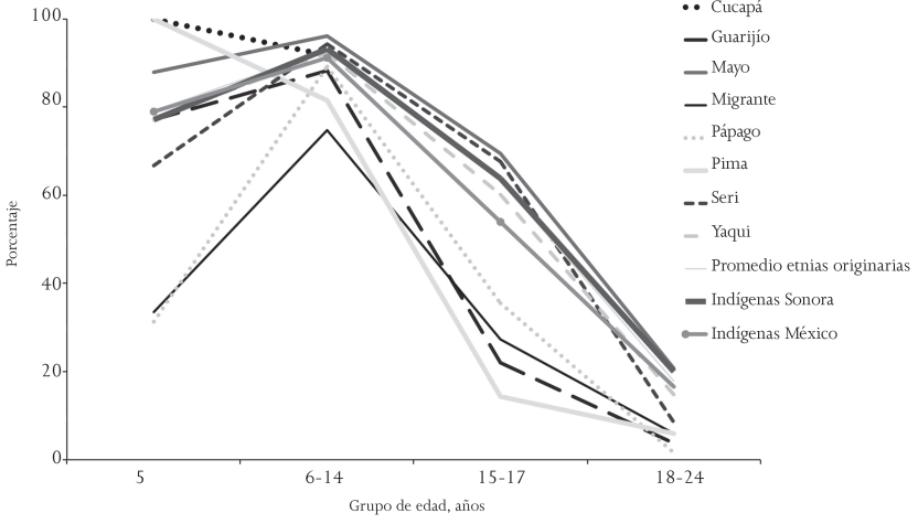 Proporci&oacute;n de la poblaci&oacute;n &eacute;tnica, por grupo de edad, que asiste a la escuela, 2005