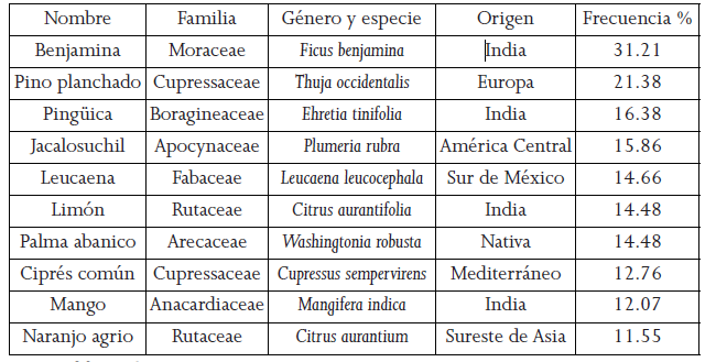 Especies que
aparecen con mayor frecuencia en los jardines frontales de las casas en
Hermosillo