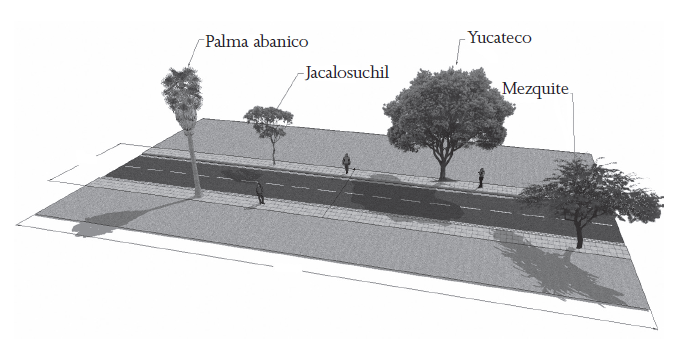 Representaci&oacute;n a escala de la densidad de &aacute;rboles en la banqueta