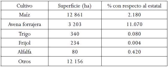 Principales cultivos en Chignahuapan, Puebla