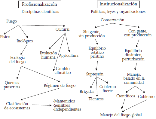 Institucionalizaci&oacute;n y profesionalizaci&oacute;n del fuego