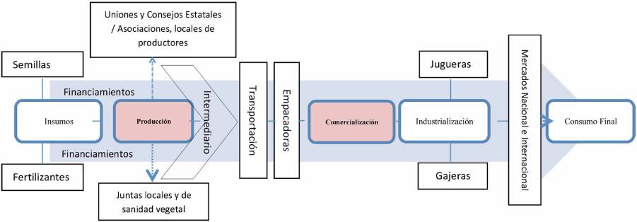 Esquema de identificaci&oacute;n del proceso citr&iacute;cola de Nuevo Le&oacute;n