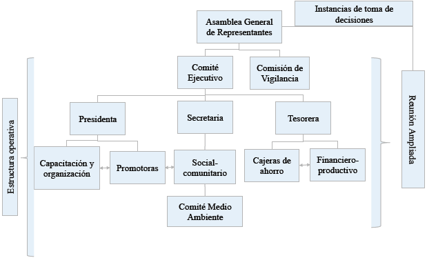 Estructura operativa e instancias de toma de decisi&oacute;n