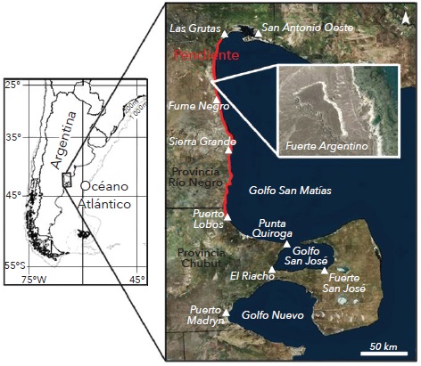 Mapa de la zona costera del norte patagónico sobre el océano Atlántico, en Argentina. Se indica el sector del Camino Real más utilizado por los pulperos en el periodo de mayor auge de la pesquería, 1930-1980