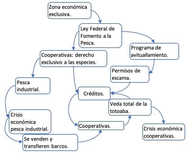 Relaci&oacute;n causal y din&aacute;mica de las pol&iacute;ticas p&uacute;blicas en la regi&oacute;n del alto golfo de California durante la d&eacute;cada de 1970