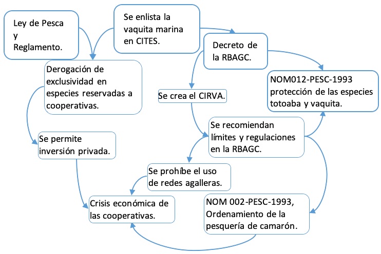 Relaci&oacute;n causal y din&aacute;mica de las pol&iacute;ticas p&uacute;blicas en la regi&oacute;n del alto golfo de California durante la d&eacute;cada de 1990