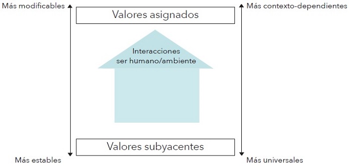 Esquema conceptual sobre las relaciones entre los valores subyacentes y valores asignados en un marco de interacciones ser humano/ambiente