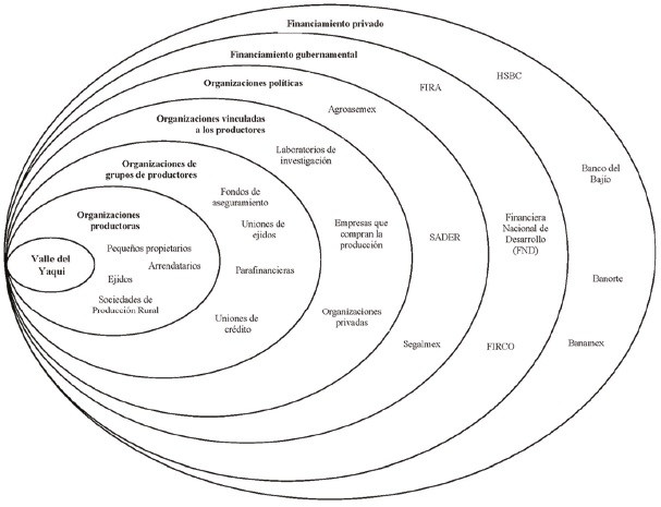 Estructura del campo organizacional de la agricultura del valle del Yaqui