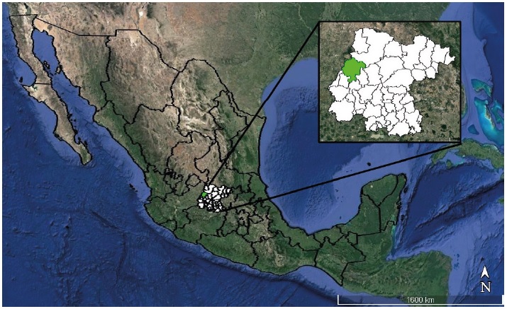 Le&oacute;n, Guanajuato