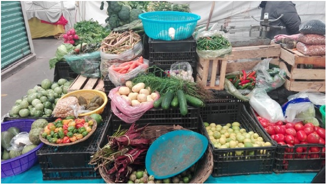Venta de hortalizas frutas y semillas