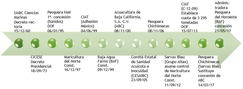 L&iacute;nea de tiempo: principales actores de engorda de AAZ