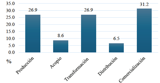 Participacin de los agentes por componente