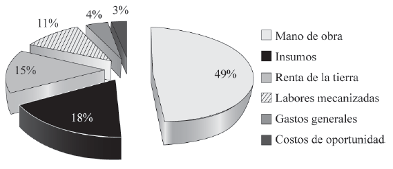 Estructura de costos de producción