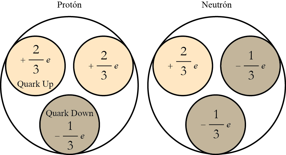 Estructura interna del protón y el neutrón. 
