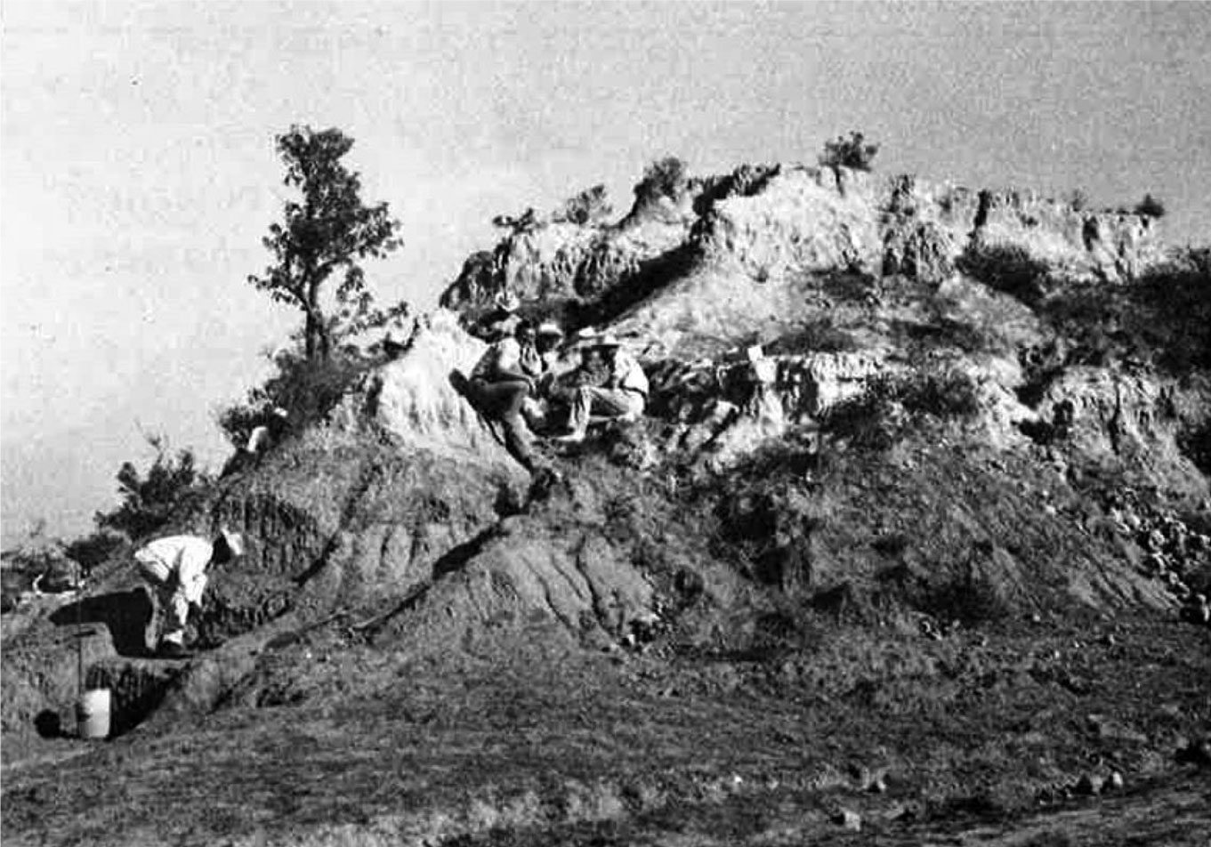 Doctor Ekke W. Guenther durante sus excavaciones en Huayatlaco.