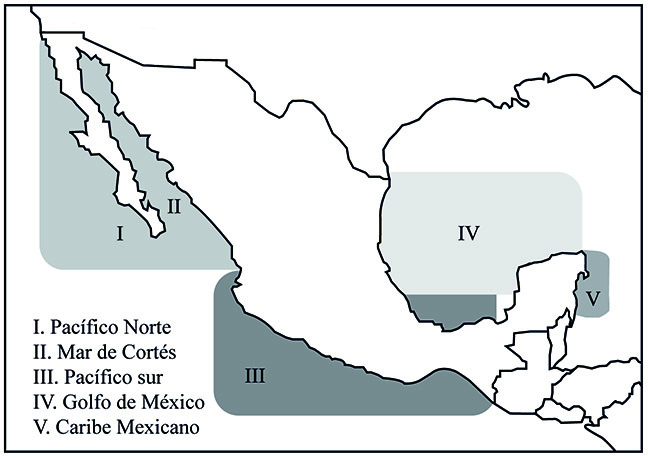 Región del Pacífico Sur de México (III)