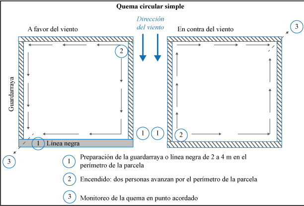 Fases de una quema circular simple realizada a favor y en contra del viento