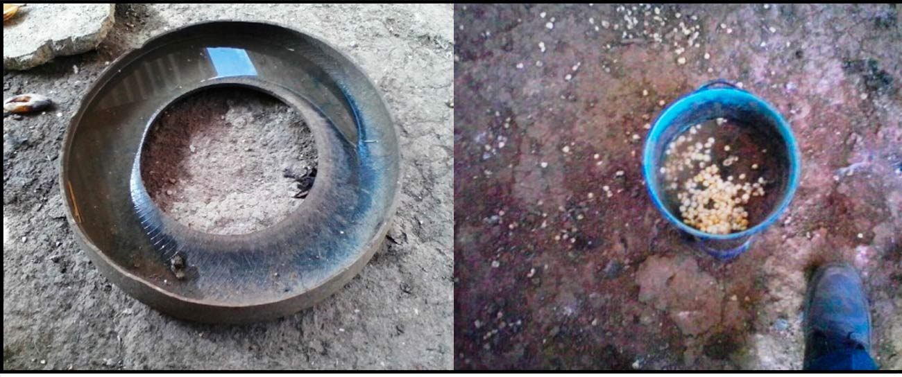 Uso de llantas
y recipientes desechados para proporcionar agua y alimentos