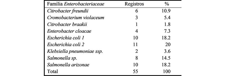 Géneros
y especies identificados de la familia Enterobacteriaceae
