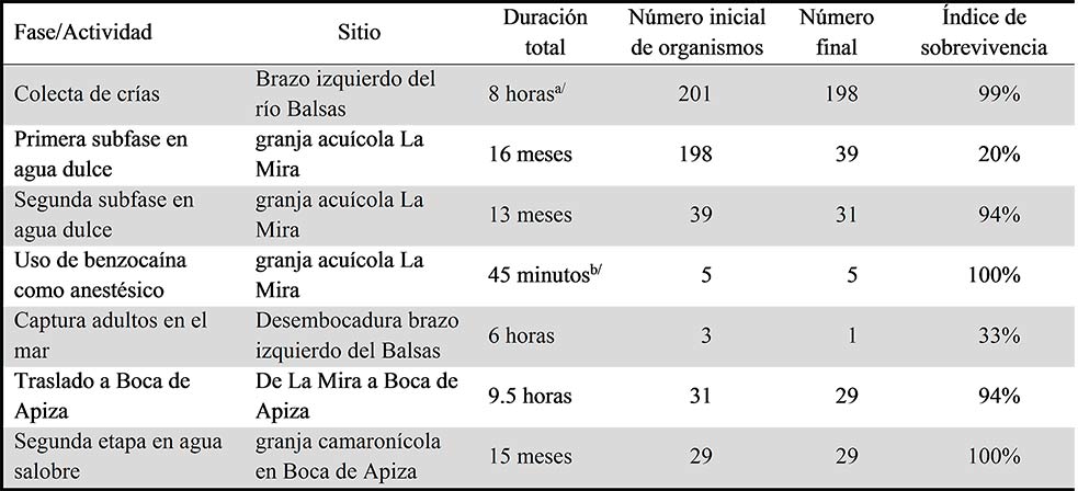 Índices de
sobrevivencia obtenidos en las distintas fases del estudio