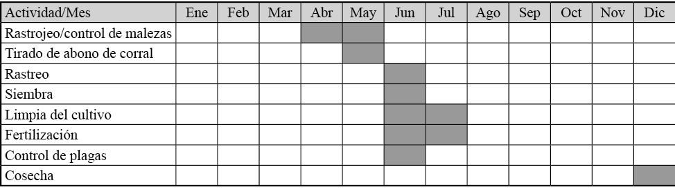 Calendarización de actividades del sistema
de producción de maíz de temporal en la comunidad Francisco Villa I