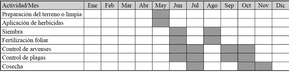 Calendarización de actividades del sistema
de producción de frijol de temporal en la comunidad Francisco Villa I