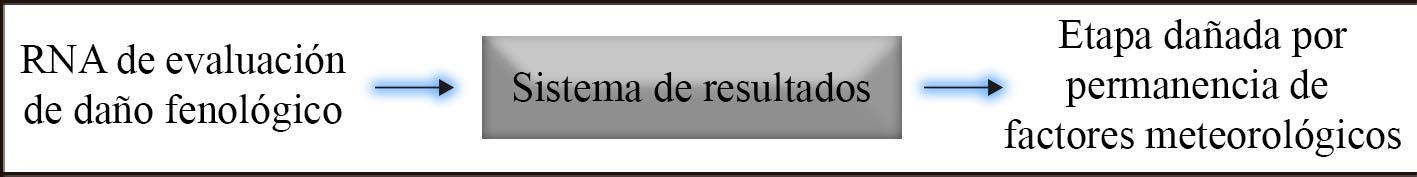 Diagrama general del evaluador inteligente de
daño fenológico