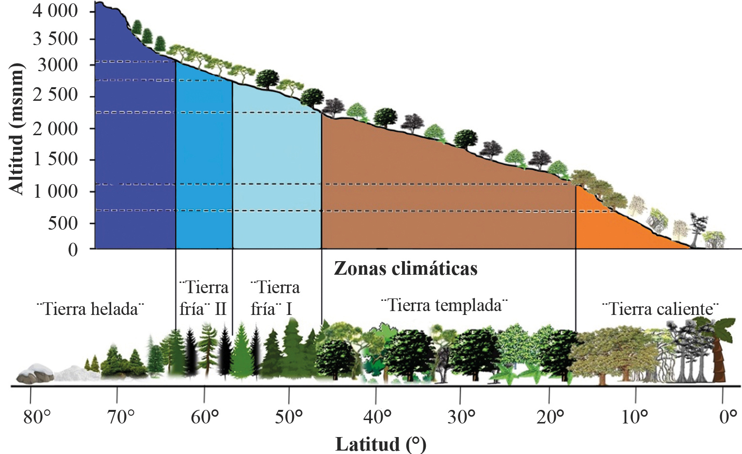 Diferentes zonas clim&aacute;ticas y tipos de vegetaci&oacute;n encontradas a lo largo de gradientes altitudinales y latitudinales 
