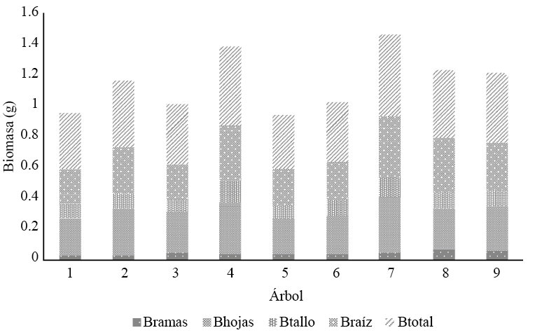 Biomasa (B) por componente en &aacute;rboles de Leucaena esculenta 