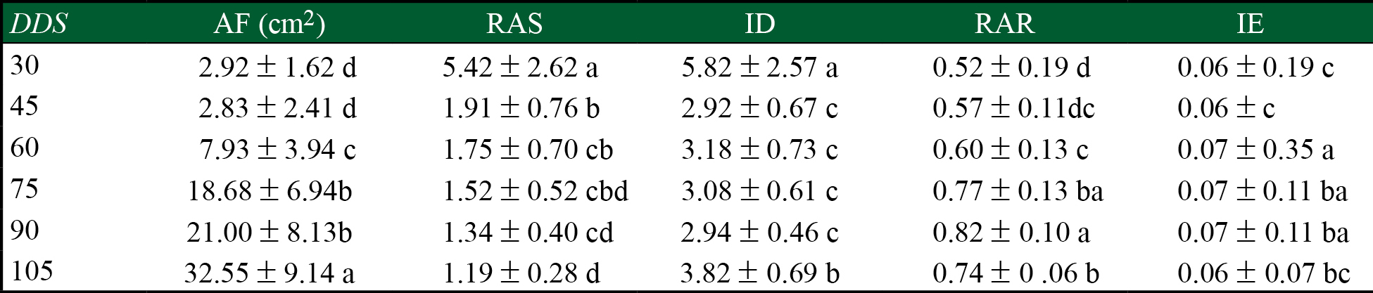 Caracter&iacute;sticas de &aacute;rboles de Leucaena esculenta de diferentes progenies, transcurridos 105 d&iacute;as de crecimiento en invernadero