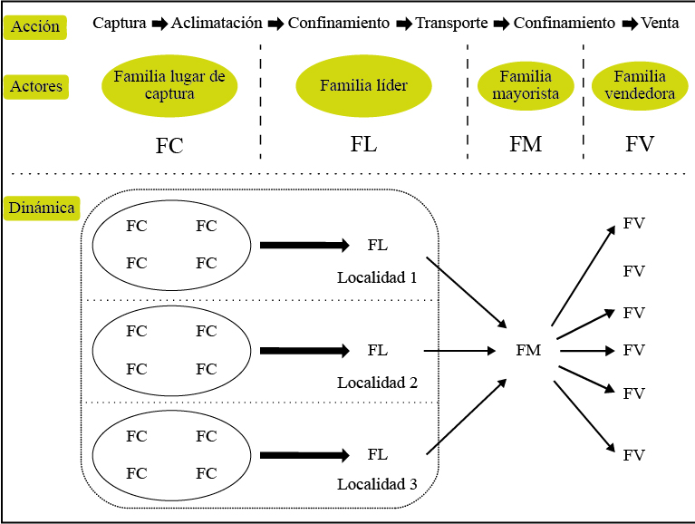 Diagrama del oficio de pajarero 