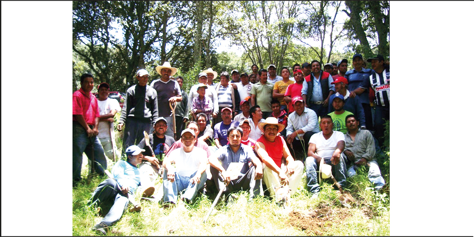 Imagen de la reforestaci&oacute;n implementada en San Bartolo Morelos, Estado de M&eacute;xico 