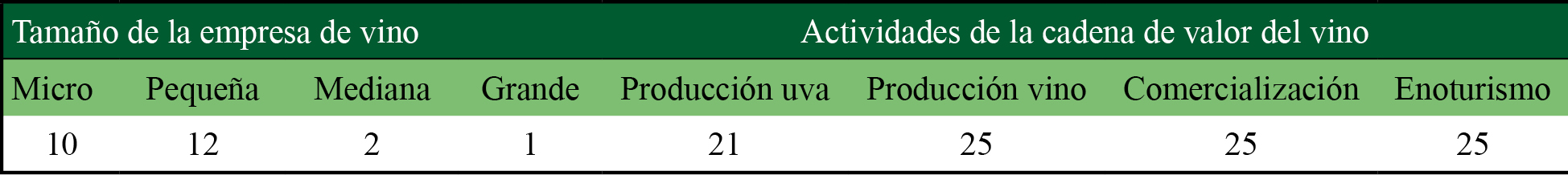 Caracterizacin de las empresas de vino 