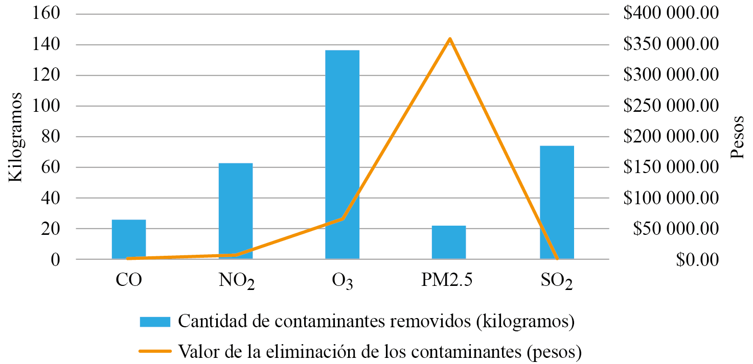 Eliminaci�n de contaminantes por el arbolado de la Laguna de San Baltazar