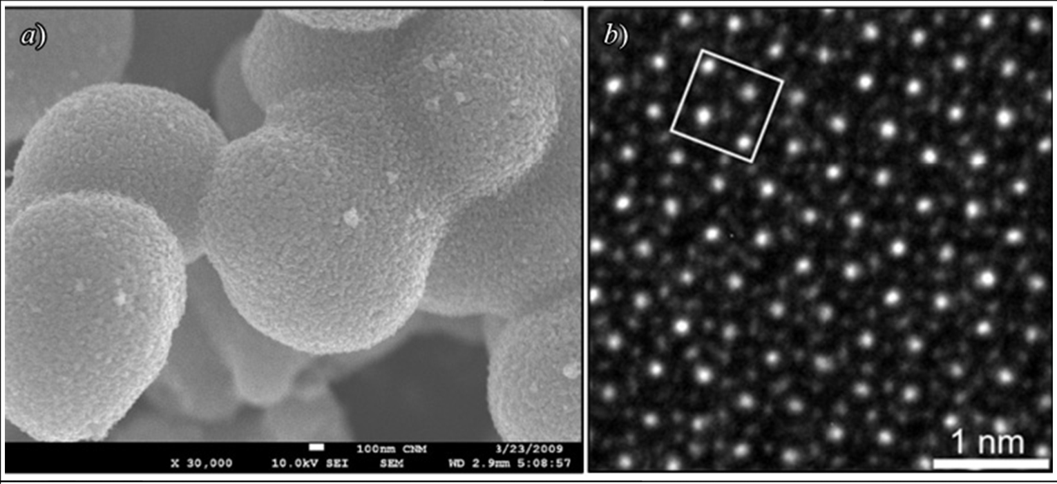 Micrografa obtenida mediante un microscopio electrnico de barrido y mediante un microscopio electrnico de transmisin