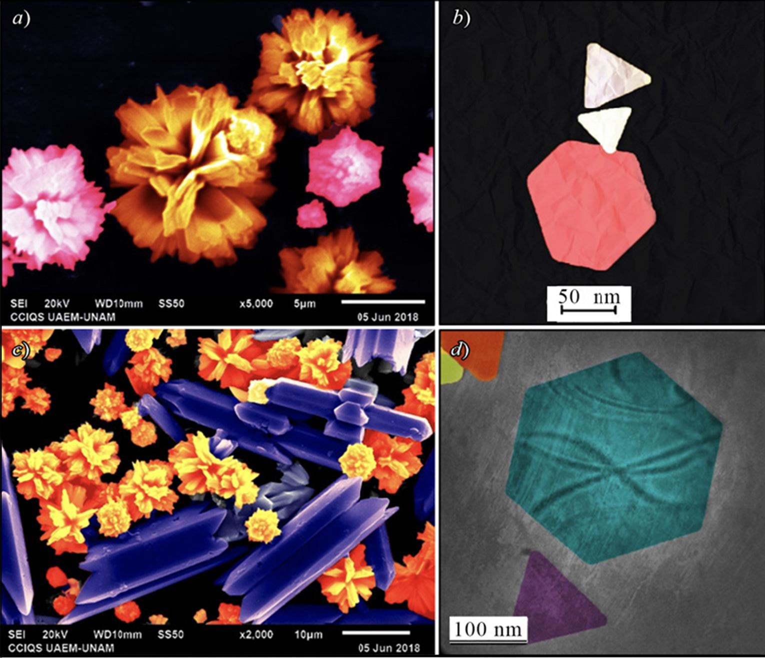 Ejemplos de micrografas tomadas con SEM y TEM