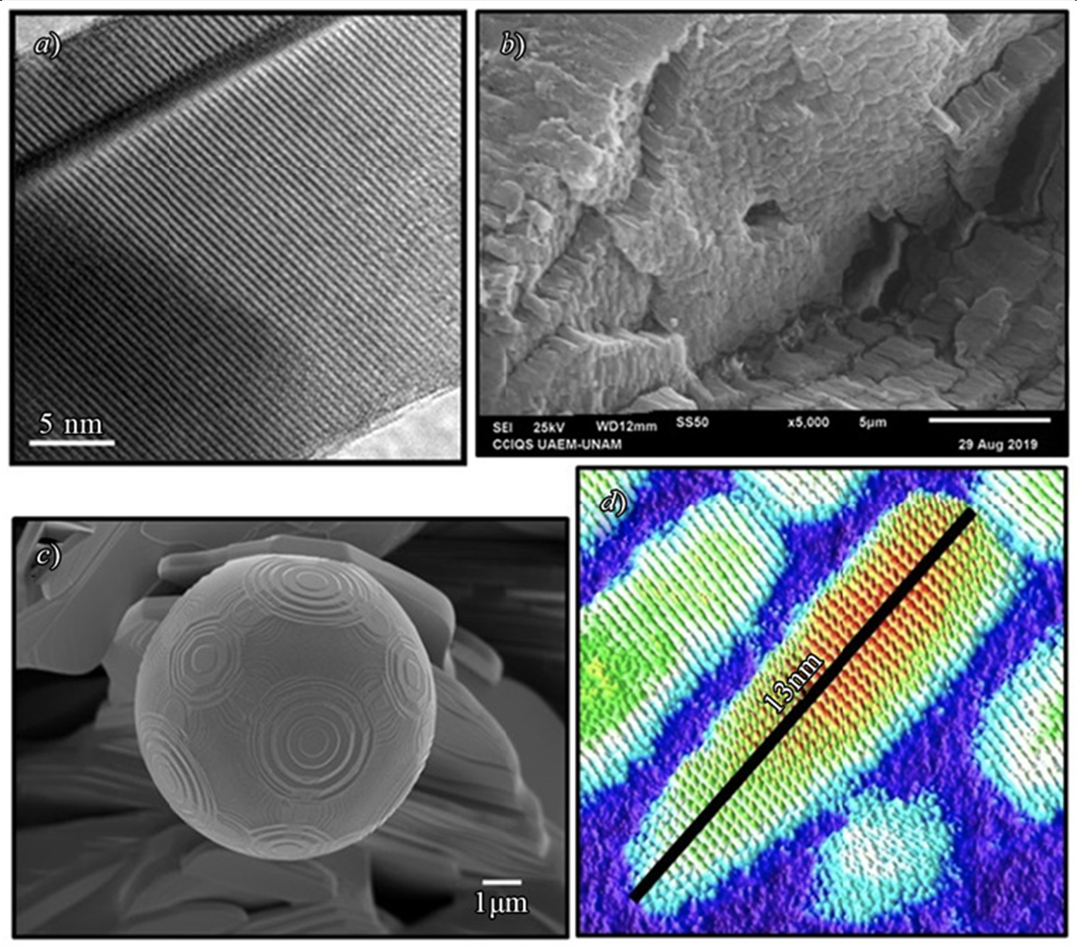Ejemplo de imgenes obtenidas mediante diferentes tipos de microscopa electrnica