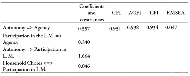 Coefficients and goodness of fit of the Structural Equation Model