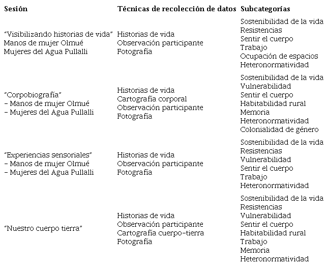 Esquematizaci&oacute;n de la investigaci&oacute;n para las sesiones colectivas