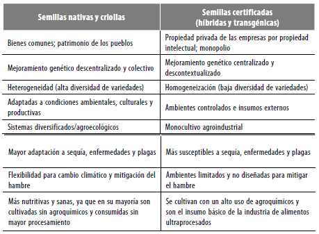 Semillas nativas y criollas versus semillas certificadas (híbridas y transgénicas)